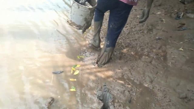 Amazing Catching Pseudapocryptes elongatus Skill, Catching Fish on natural canal смотреть онлайн