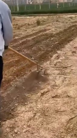 Ручные разрыхлители и окучники.
