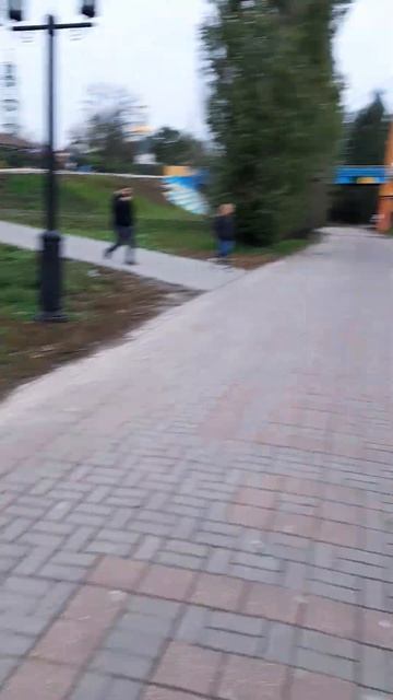 Дочка с мужем кормят диких уток. Утка в полете. Набережная. Мост. смотреть онлайн