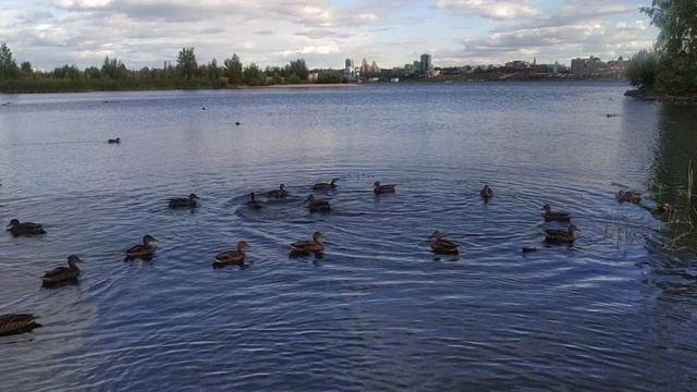 Поездка в Уфу