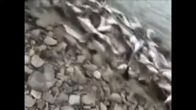 Замет смотреть онлайн