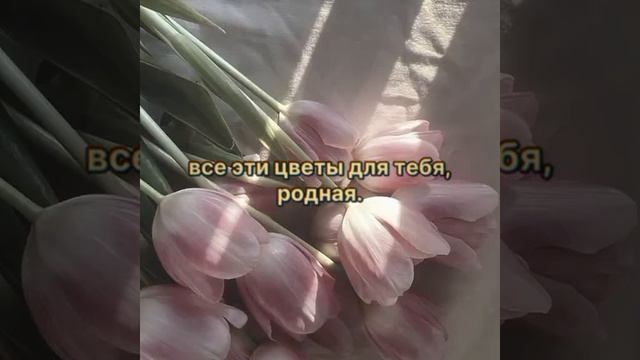 VID-20250310-WA0004.mp4