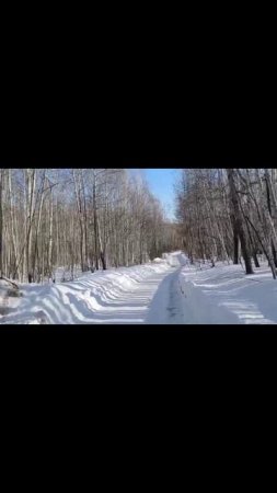 Старый охотник