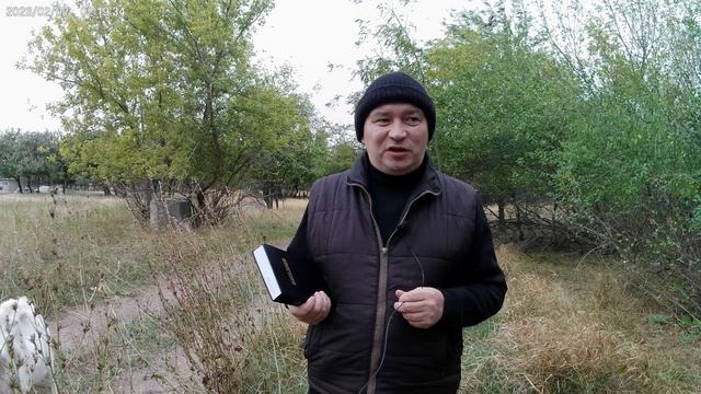 Вникай в себя, а не только в Писание