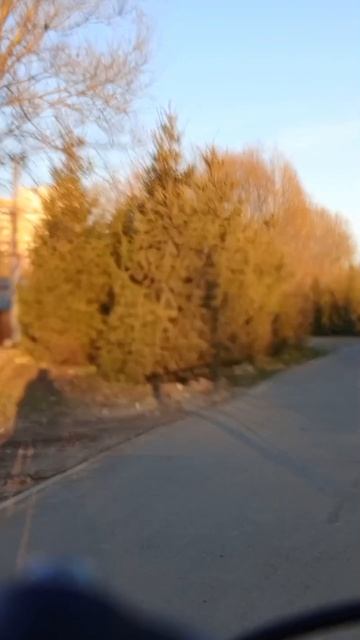 добрый пёсик