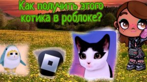 КАК ПОЛУЧИТЬ ЭТОГО КОТИКА В РОБЛОКСЕ? 🐱🐈