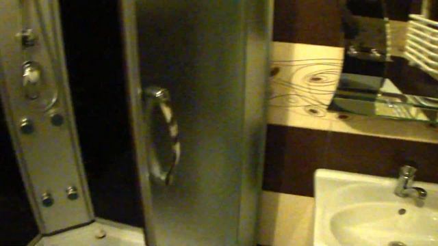 Санузел. Кленовая 2а, 3-ком. (800 уе). смотреть онлайн