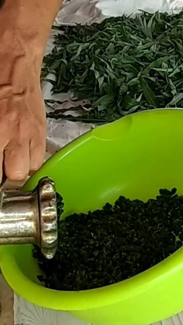 Перекручивание Иван Чая #иванЧай #ИВАН_ЧАЙ 🍵👍👏#сборИванЧая #заготовкаИванЧая #РУССКИЙ_ЧАЙ #чайИван