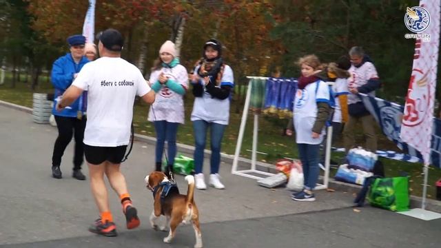 Балтийский ВЕТЕРбургский марафон, видео Команды "Летучая рыба" смотреть онлайн
