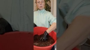Как размочить кокосовый субстрат | Ирина Родина