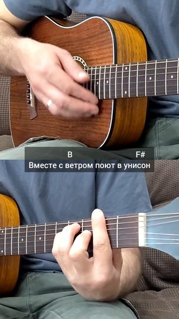 Тайпан, MorozKA - Золотая рожь (На гитаре)
