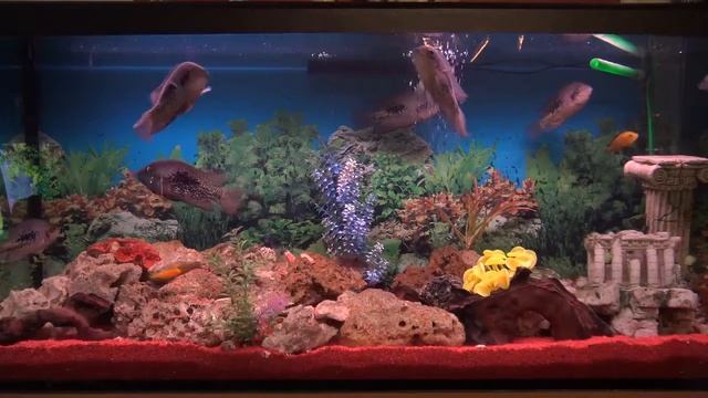 успокаивающая и расслабляющая музыка смотреть онлайн