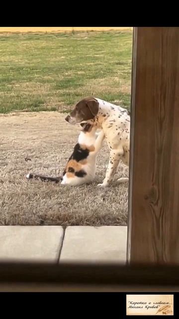 ТЫ МЕНЯ НИКОГДА НЕ ЗАБУДЕШЬ...