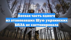 Боевая часть одного из атаковавших Шую украинских БПЛА не сдетонировала