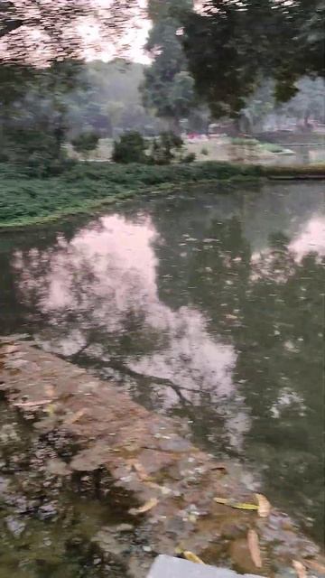 Tujhe Na Dekhu To Chain 🎻🎼🎻 | Kumar Sanu Songs 🎵