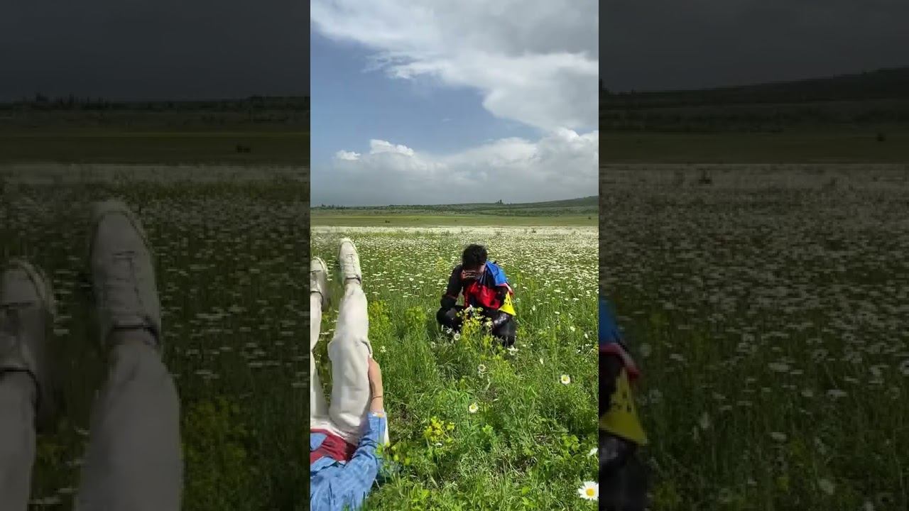 Ромашковое поле и две неуклюжих Эли