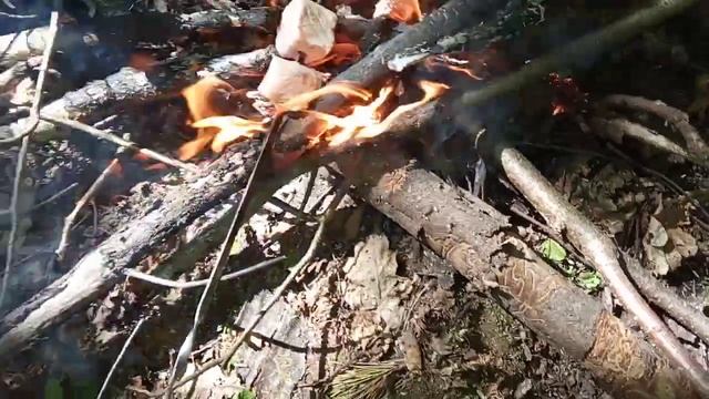Как быстро замариновать шашлык из свинины за 1 час с луком
