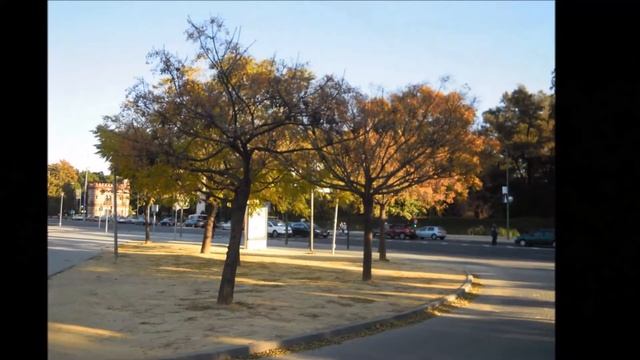 Cinamomo смотреть онлайн