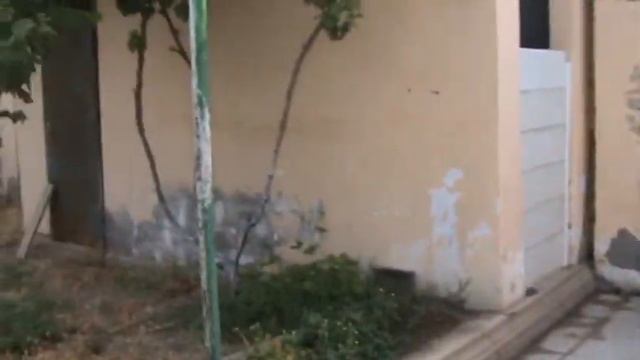 кормление четвероногих смотреть онлайн