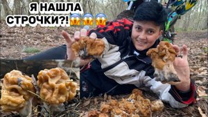 ХОТЕЛА СМОРЧКИ, А НАШЛА СТРОЧКИ! Крым, апрель, открытие грибного сезона