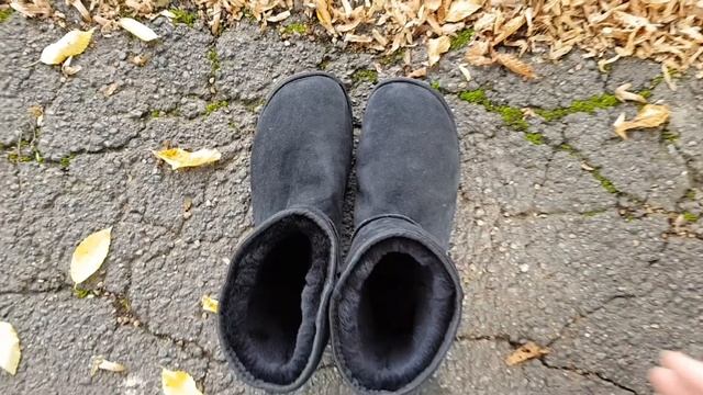 Zeazoo Dingo NEW toebox shape - Close up смотреть онлайн