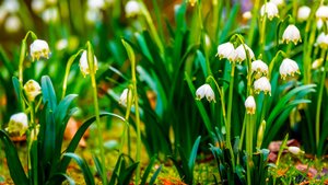 🌷 ФИЛОСОФИЯ ЗВУКОВ - ОЧЕНЬ КРАСИВАЯ МУЗЫКА ДЛЯ ДУШИ 🎵 БЕЗМЯТЕЖНАЯ ИНСТРУМЕНТАЛЬНАЯ МУЗЫКА ДЛЯ СНА