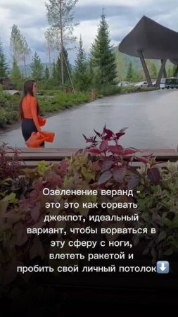 #комнатныерастения #фитодизайн #озеленение