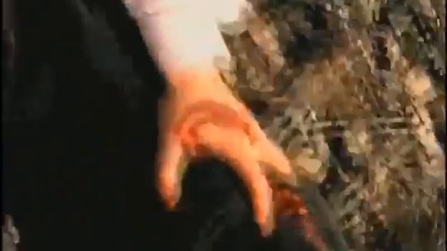 It Took Guts 1979