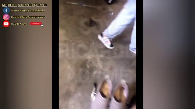 MAGDATON DESDE 50 PESOS !!! смотреть онлайн