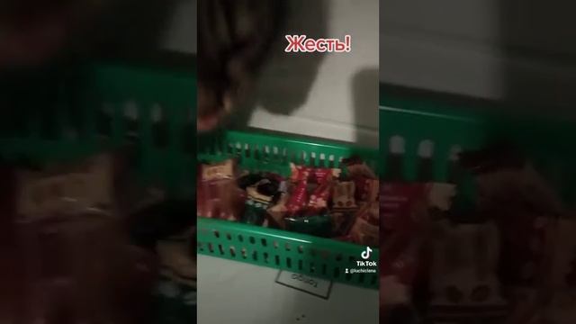 СМЕШНЫЕ КОШКИ 2023/ СМЕХ смотреть онлайн