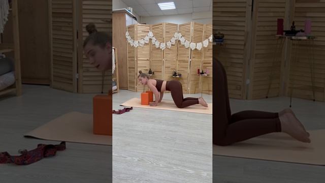 Освоение асаны Чатуранга Дандасана