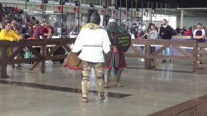 Золотой тигр 2017