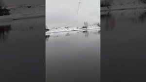 🦈 Огромный судак клюнул 🎣 с берега по последнему снегу ☃️.