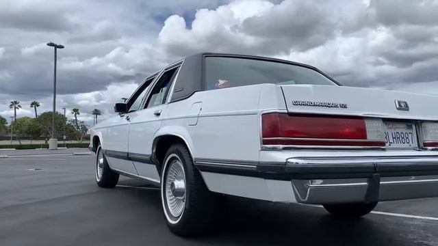 La snail смотреть онлайн