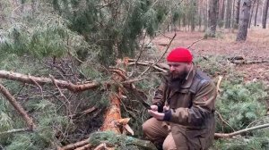 КАК ПИЛИТ ЯПОНСКАЯ ПИЛА? ПЬЮ ЧАЙ ТАЁЖНЫЙ СБОР, ОСТОРОЖНО МАТ!!!