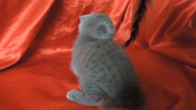 DSCN8825 смотреть онлайн