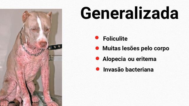 Demodex canis смотреть онлайн