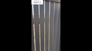 video5188572307500593515