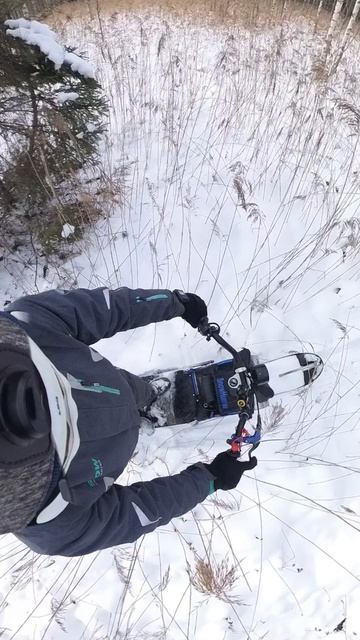 по болотам на мотоснегокате snow hunter