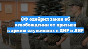 СФ одобрил закон об освобождении от призыва в армию служивших в ДНР и ЛНР