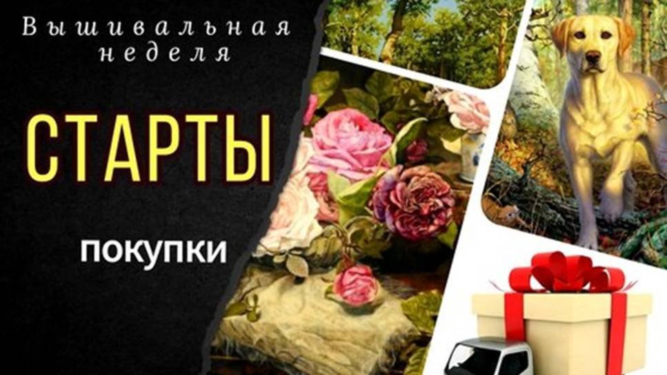 Новые СТАРТЫ_Покупки_Надима_Смолта Стич_Процессы