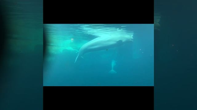 January 23, 2023 смотреть онлайн