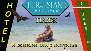 IFURU ISLAND - Пляж и живой мир острова.