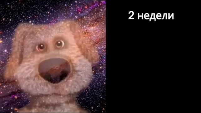 До нового года осталось: смотреть онлайн