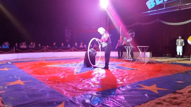 auch Seelöwen machen Späße Zirkus BEROLINA 2023 смотреть онлайн