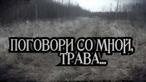 Поговори со мной трава...