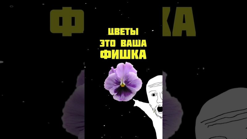 Ели ли вы когда-нибудь съедобные цветы? #еда #микрозелень #бизнес #daogreen