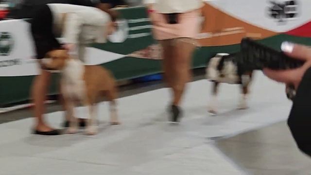 27 ноября 2022 г. смотреть онлайн