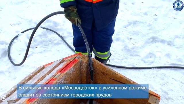 «Мосводосток» провел аэрацию на Новодевичьих прудах