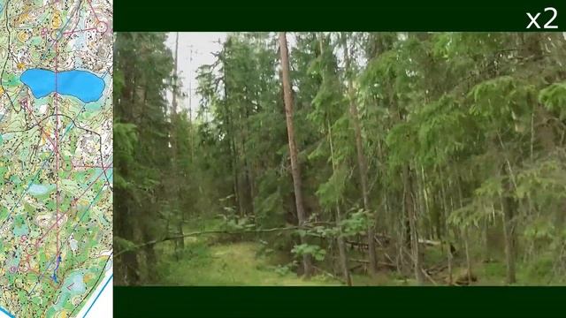 Headcam Orienteering #101 Тренировочный старт оз.Горица 2023.06.23